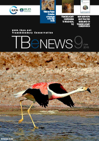 Tb eNEWS - 9 - June 2015 - newsletter cover